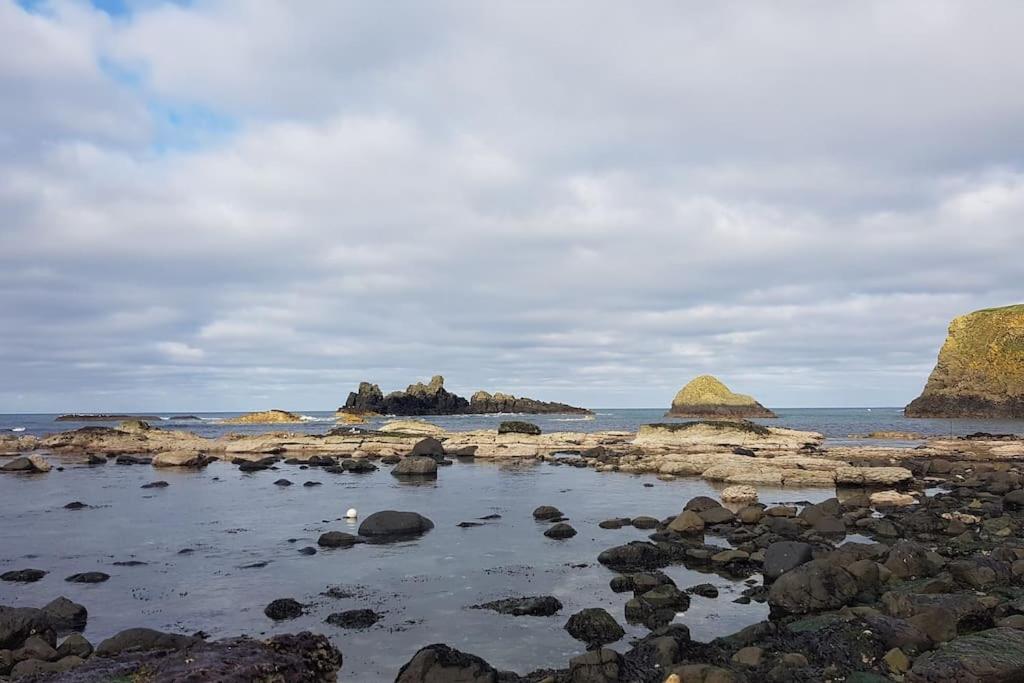 Mcconaghys Glenside Whitepark Bay * Ballintoy