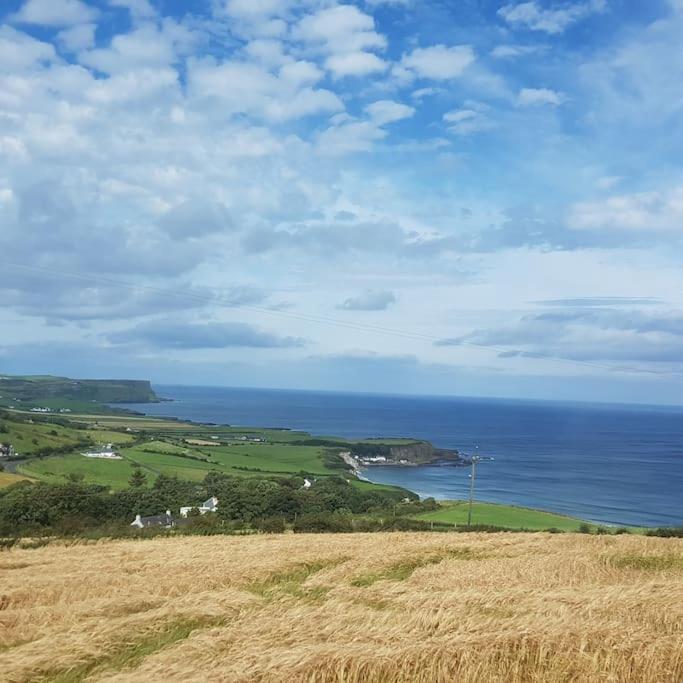 Mcconaghys Glenside Whitepark Bay *