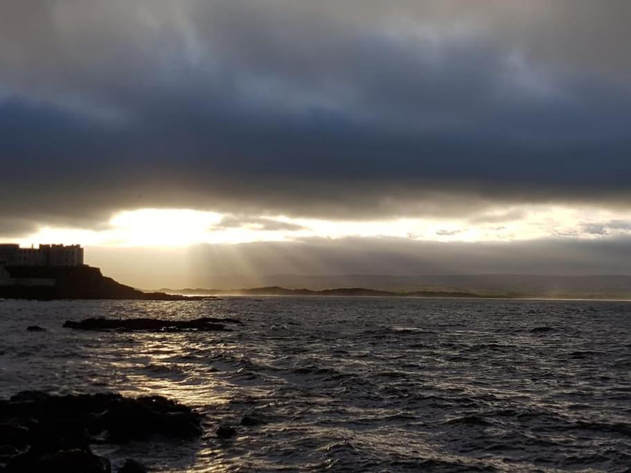 Mcconaghys Glenside Whitepark Bay